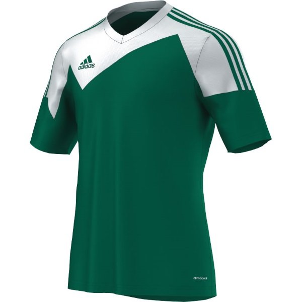 http://www.discountfootballkits.com/productimage.php?proCatImg=z20264l.jpg