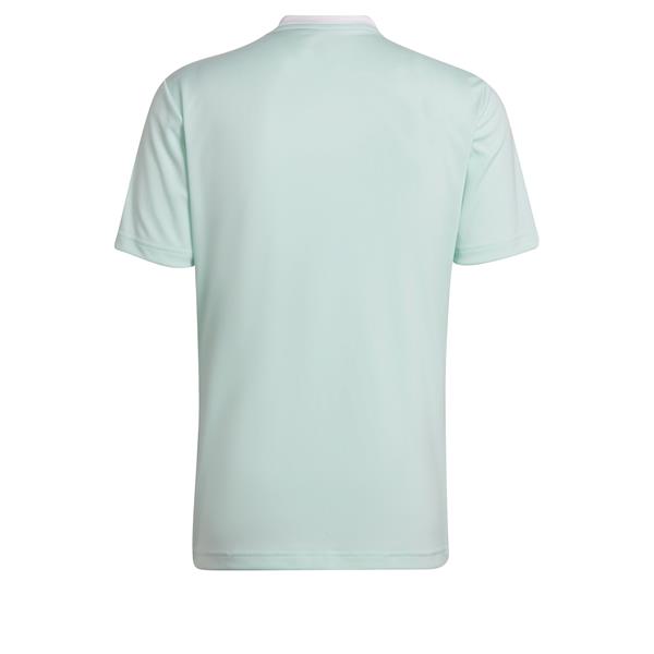 adidas Entrada 22 Clear Mint/White Football Shirt