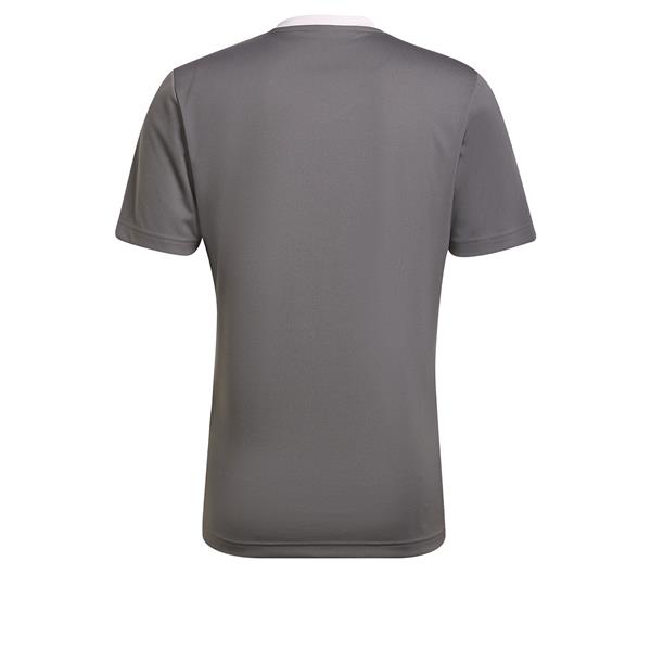 adidas Entrada 22 Team Grey Four/White Football Shirt