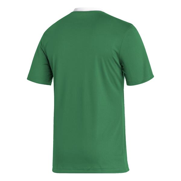 adidas Entrada 22 Team Green/White Football Shirt