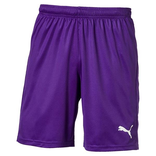 short puma amplified